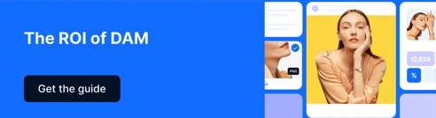 EN Blog CTA ROI Of DAM V3