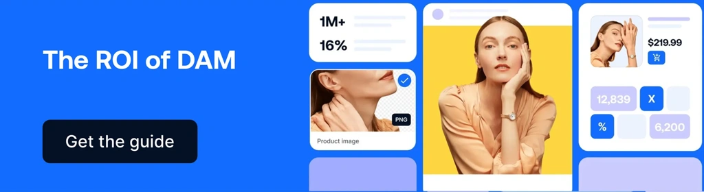 EN Blog CTA ROI Of DAM V4