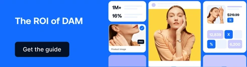 EN Blog CTA ROI Of DAM V4