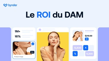 Le ROI du DAM