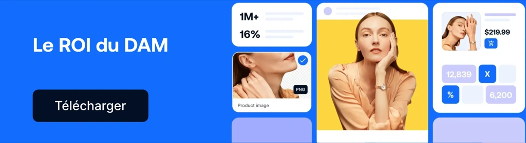 FR Blog CTA ROI Of DAM