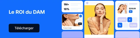 FR Blog CTA ROI Of DAM