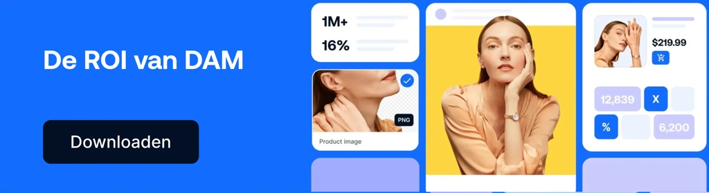 NL Blog CTA ROI Of DAM