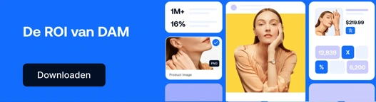 NL Blog CTA ROI Of DAM