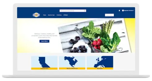 Sunsweet nous parle stratégies marketing et DAM avec Bynder