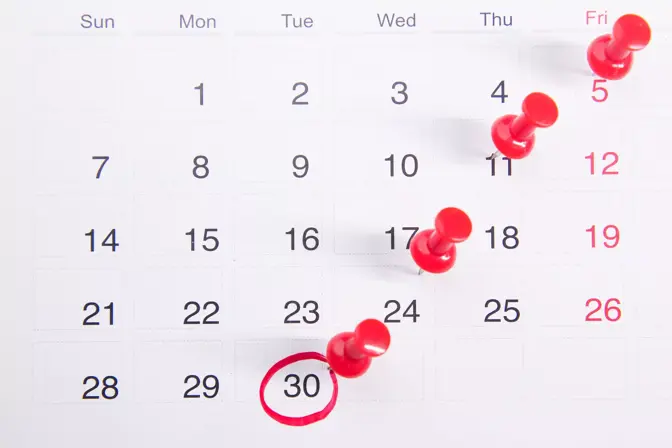 Modèle de Planning Éditorial