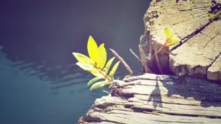 8 tips om je marketingmaterialen te verbeteren