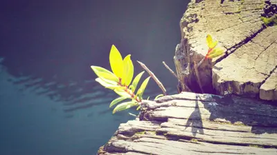 8 tips om je marketingmaterialen te verbeteren