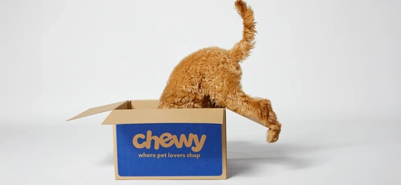 BSA 2025 Chewy Image 2