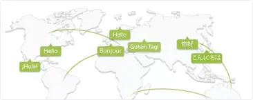 Auto-detect language
