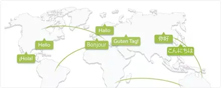Auto-detect language