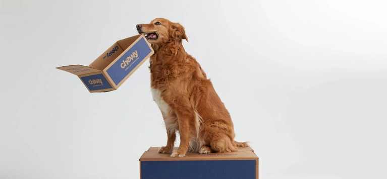 BSA 2025 Chewy Image 1