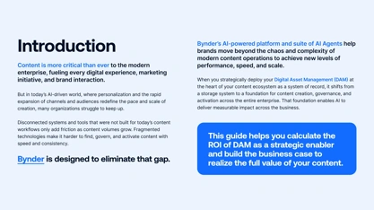 Quantify the business impact of DAM