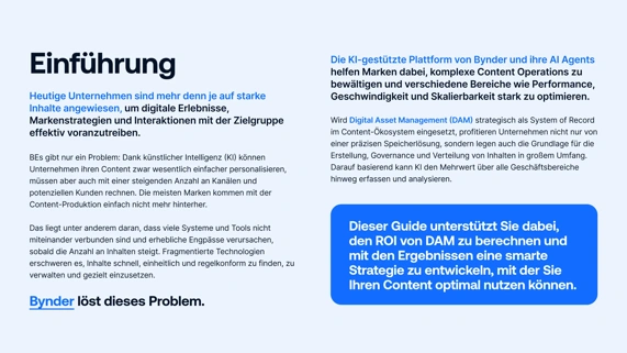 Den ROI von DAM nachweisen